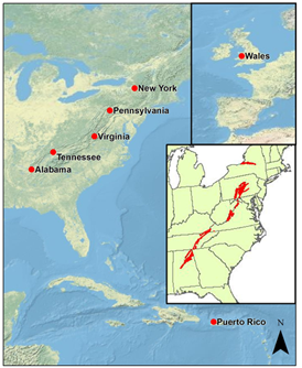 shale transect